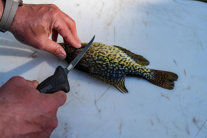 25.4 cm Stealth FXF