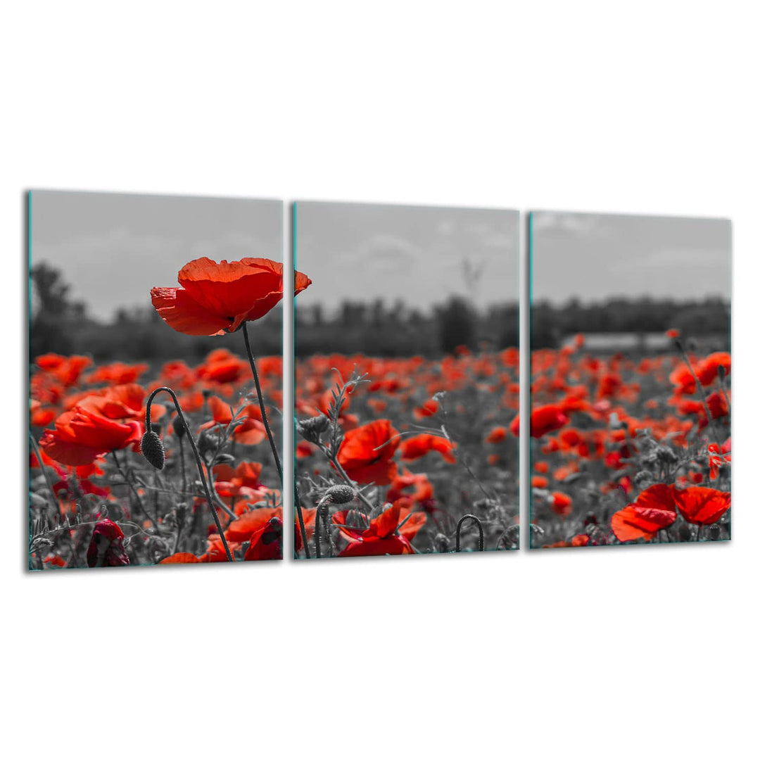 TMK ArtDeko Herdabdeckplatte 3 Teilig 3x30x52 cm - Spritzschutz Herdabdeckung – Herdschutz aus Siche
