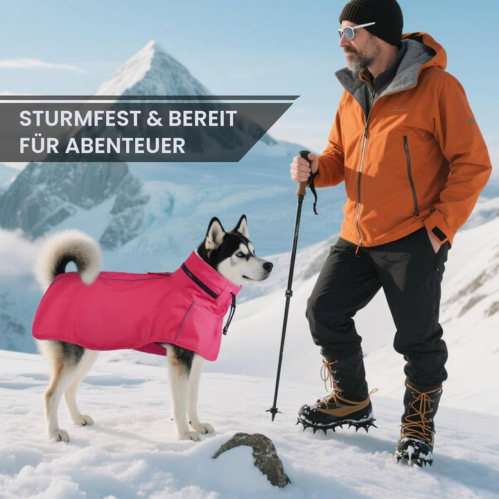 Hunde-Regenmantel – wasserdicht und reflektierend, verstellbare Passform mit Loch für die Leine und