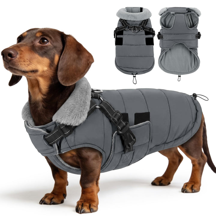 ASENKU Hundemantel Winter mit Geschirr M Wasserdicht für mittelgrosse Hunde M Grau, M Grau