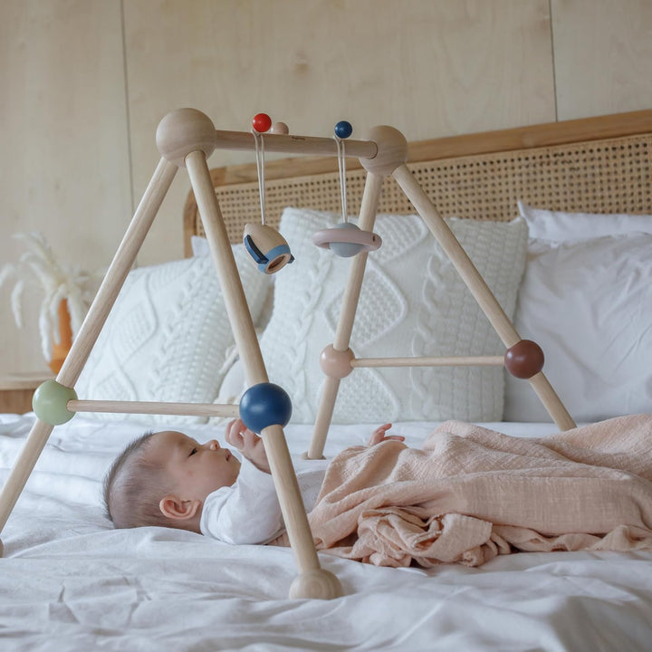 PlanToys Play Gym Orchard (5270)