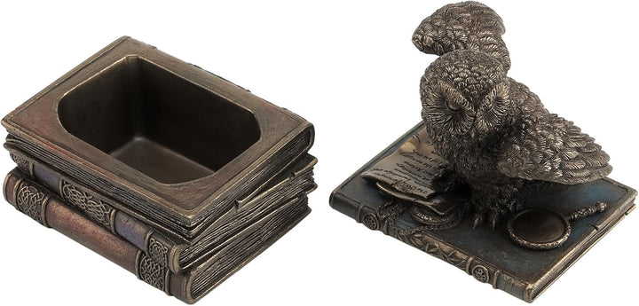 Unbekannt 12,1 cm Schnee Klappe Flügel Eule auf Büchern Schmuckdose, Bronze Farbe