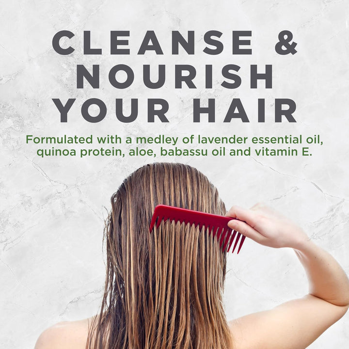 Avalon Organics Shampoo, pflegender Lavendel, 100 ml