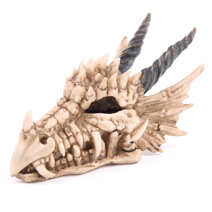 Puckator DRG186 Spardose Drachenschädel 19 x 11 x 11 cm, Gemischt, L
