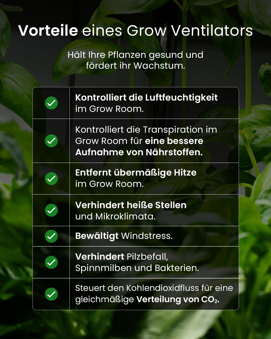Pro BreezeTM Mini Ventilator mit Clip, sehr leiser Betrieb, 20 cm Durchmesser, 2 Geschwindigkeitsstu