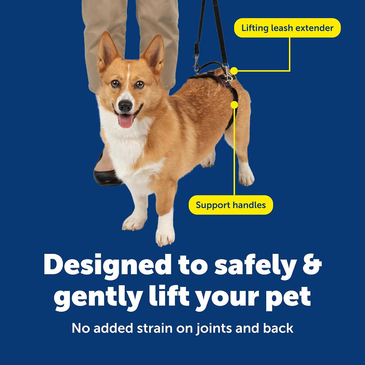 PetSafe CareLift Hinteres Stützgeschirr - Hebehilfe mit Griff - Ideal für Haustier-Mobilität und ält