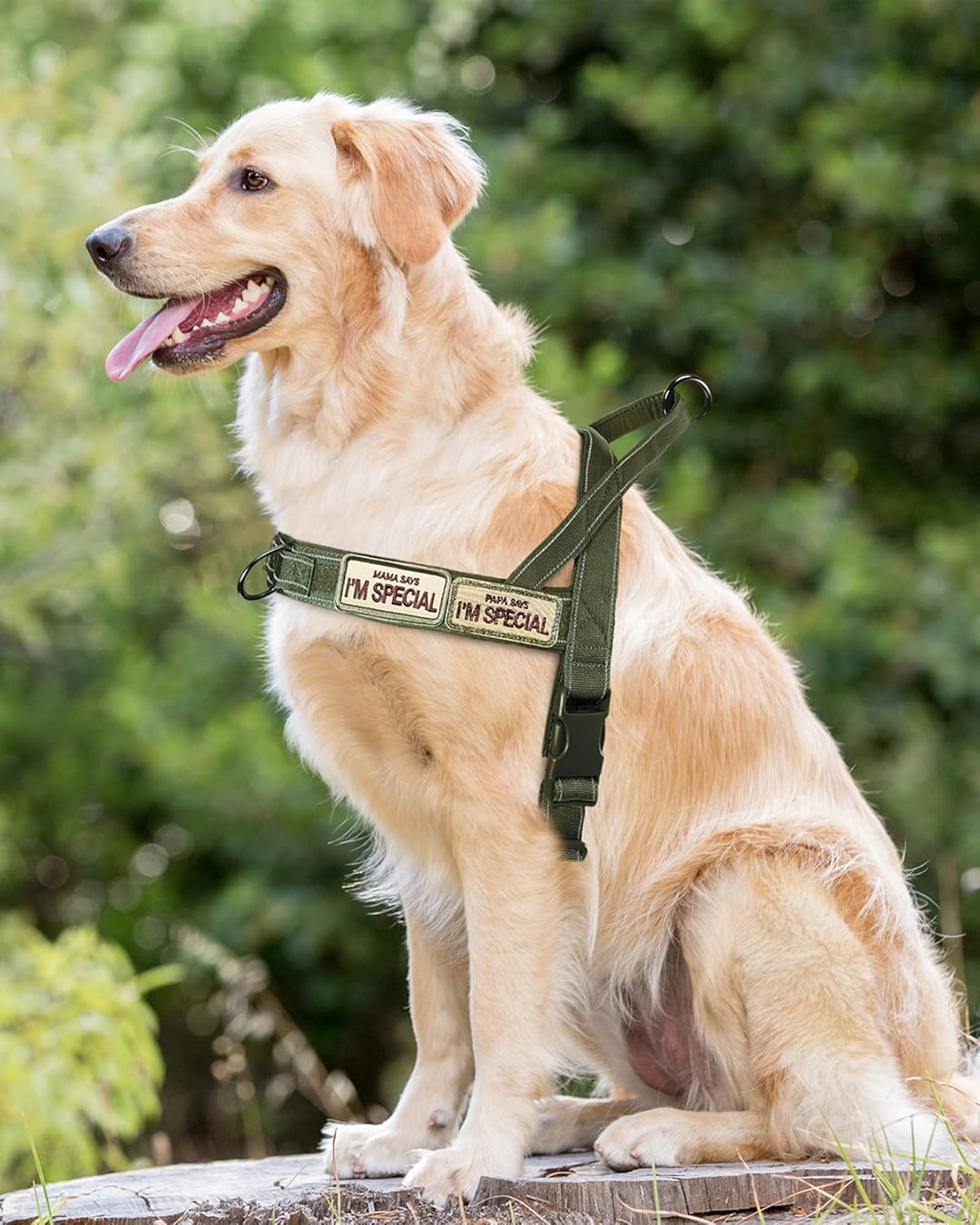 Eeyfarog No Pull Hundegeschirr für kleine mittelgrosse Hunde, reflektierend ausbruchsicher verstellb