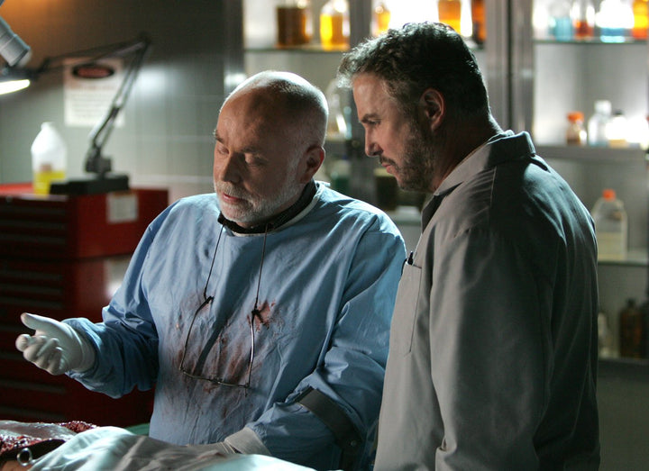 CSI: LAS VEGAS-SEASON 9 CSI: Crime Scene Investigation - Season 9 [6 DVDs], DVD