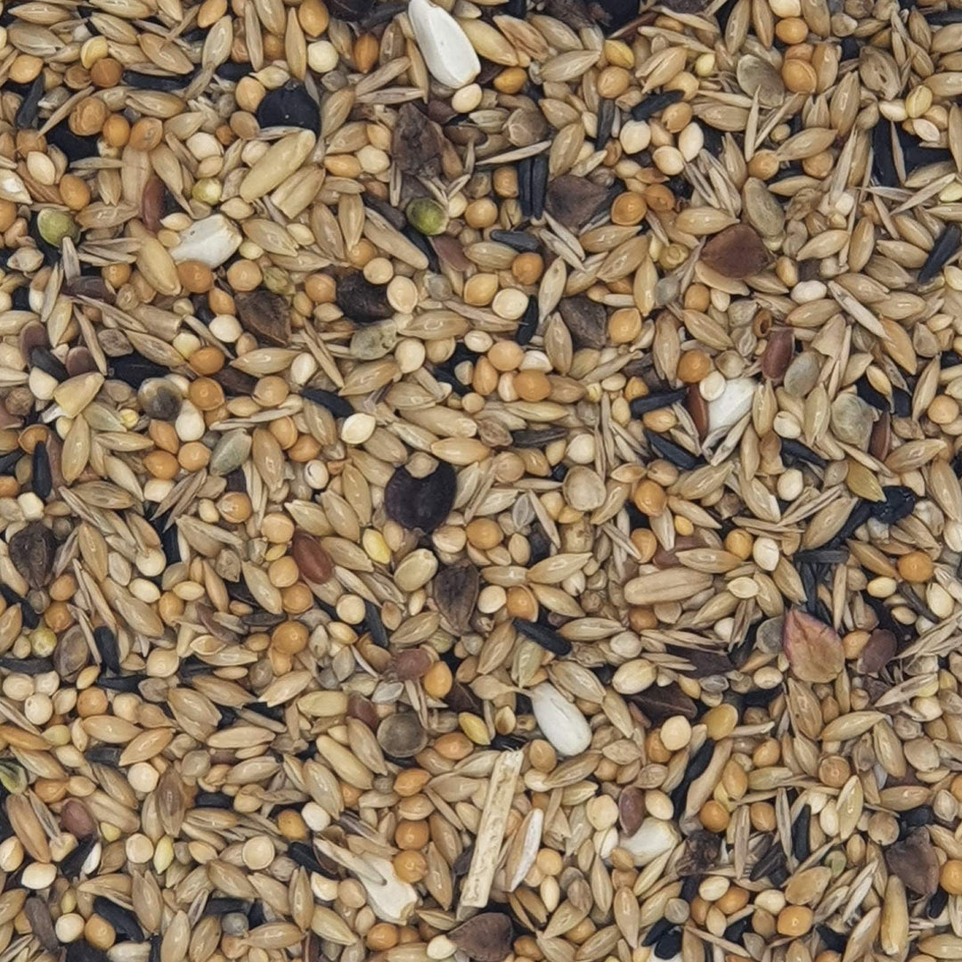 Versele Neophemen 20 kg