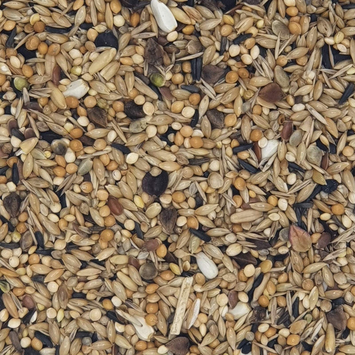 Versele Neophemen 20 kg