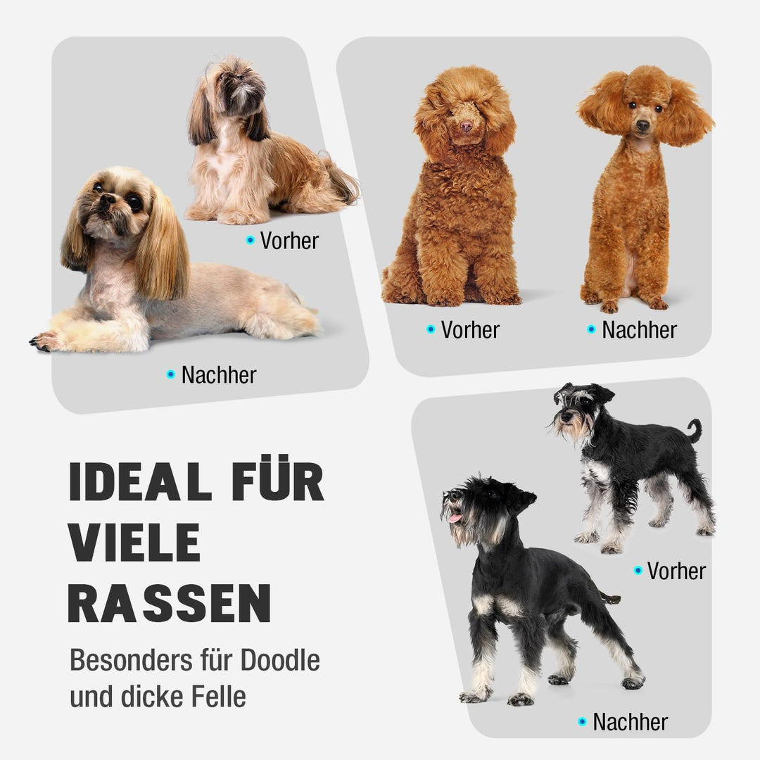 Hundeschermaschine mit Metall-Aufsteckkämme und Ersatzklinge Silber, Silber