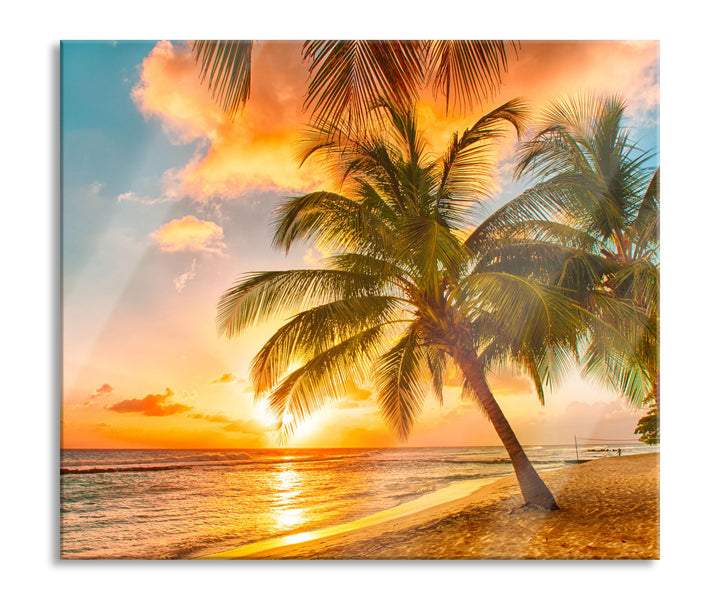 Palmen im Sonnenuntergang auf Barbados Herdabdeckplatte &amp; Spritzschutz aus Echtglas | Für Herd-Kochf