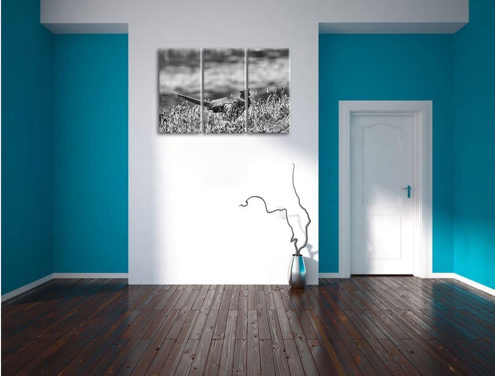 Pixxprint Fasan auf Frühlingswiese als Leinwandbild/Grösse: 3 Teilig (120x80 cm) cm/Wandbild/Kunstdr