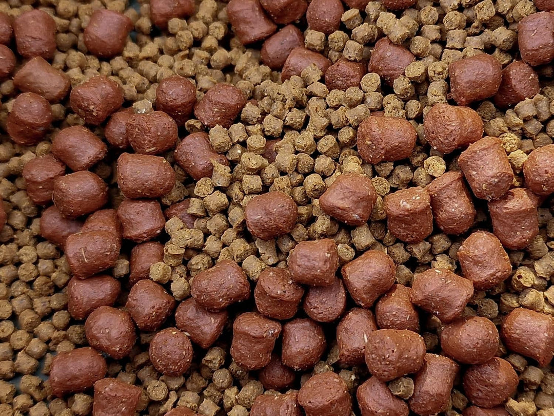 Tandem Baits Karpfen Futter Angelfutter Grundfutter Pellets Feeder SuperFeed Micro Pellet 3-er Set 2