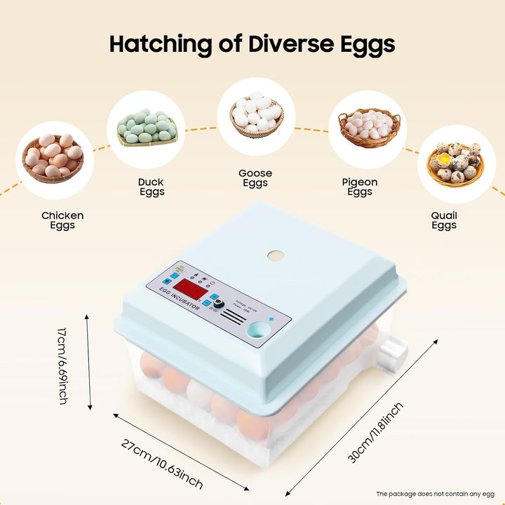 16-Eier-Hühnerbrutmaschine, Haushaltsbrutmaschine, automatische Brutmaschine für zu Hause, mit Tempe