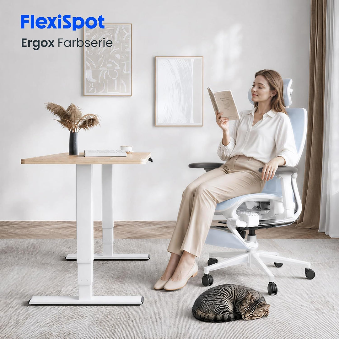 FLEXISPOT ErgoX Ergonomischer Bürostuhl mit Fussstütze Blau, Blau