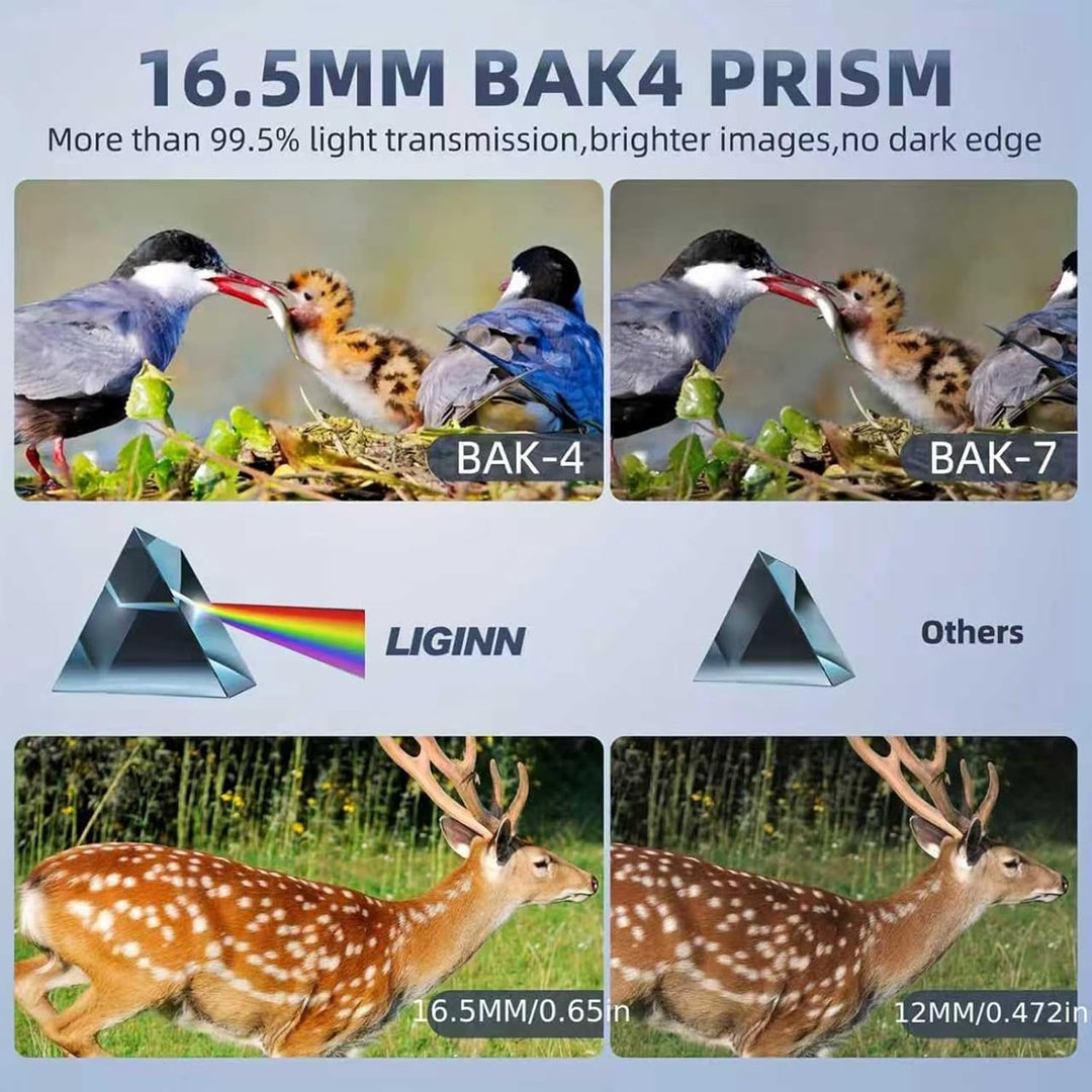 Homavit Fernglas 12x42, BAK4 Prism FMC ferngläser, HD Ferngläser wasserdicht, inklusive Tragetasche,