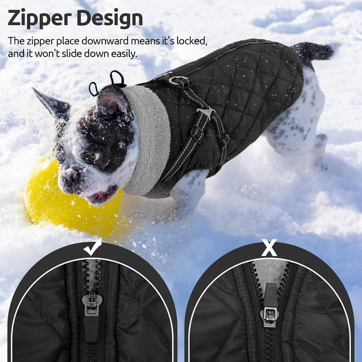 Queenmore Wintermantel Hund mit Geschirr Hundemantel Wasserdicht S schwarz, S schwarz