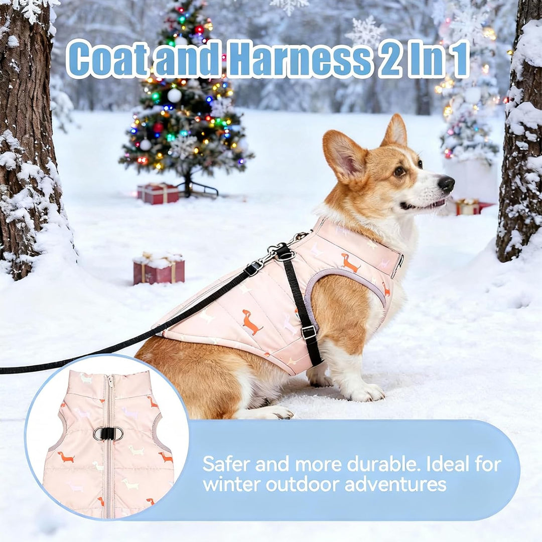 Hundemantel Winter Hundejacke Warme Hundemantel für Kleine Hunde Winddichte Hundeweste mit Geschirr