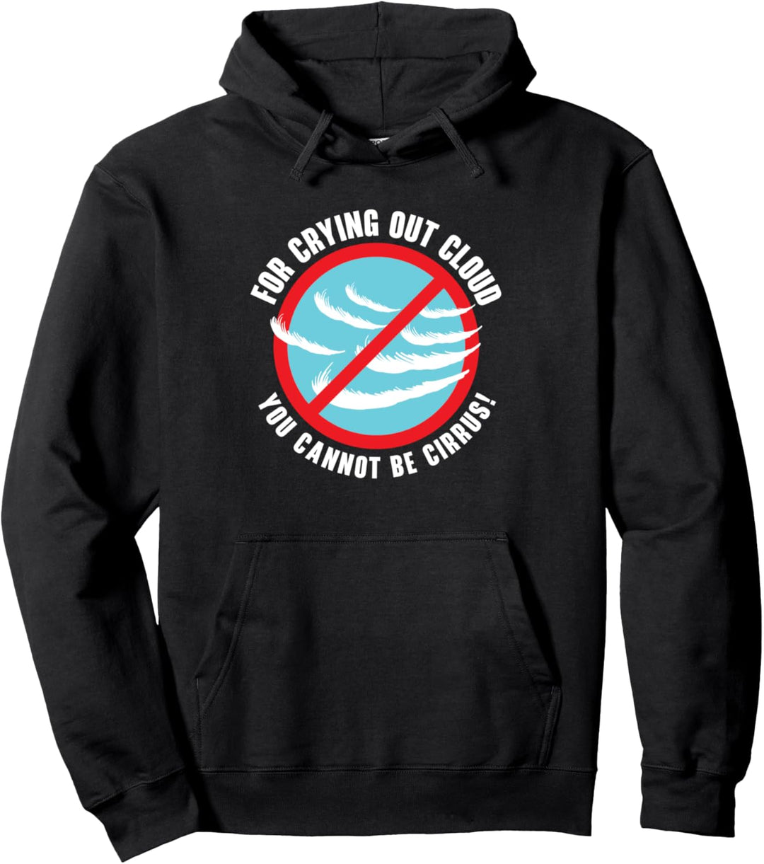 Meteorologie Weatherman Wettervorhersage Cirrus Cloud Pullover Hoodie