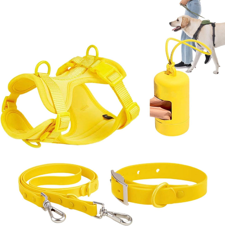 Hundegeschirr-Set, mittelgrosse Hunde, Haustiergeschirr, Halsband und Leine, Hundegeschirr mit Leine