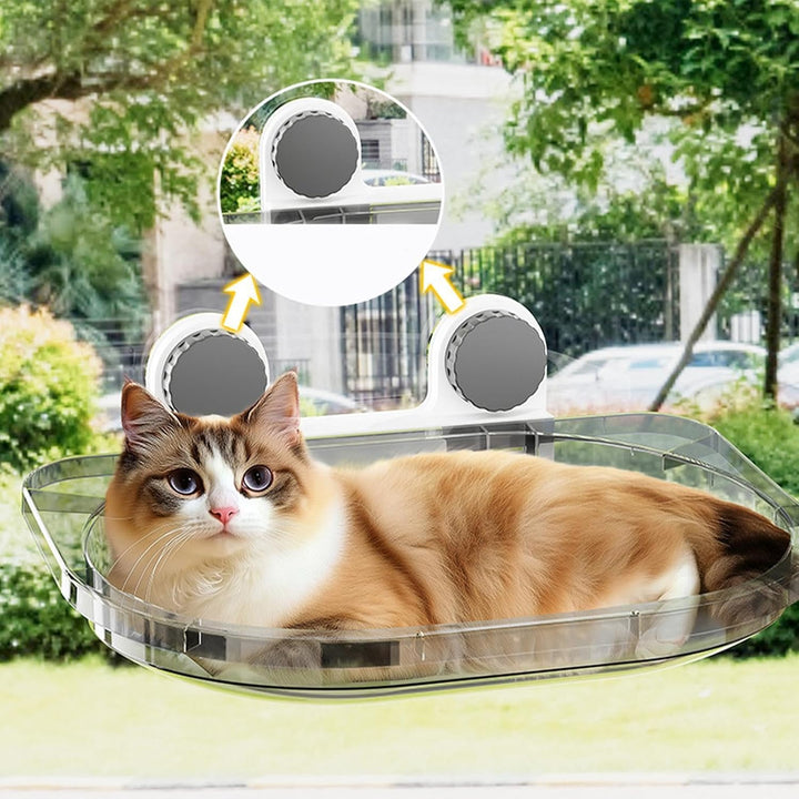 Katzenbarsch | Fensterplatz | Transparenter Barsch | Katzenregal | Platzsparender, am Fenster montie