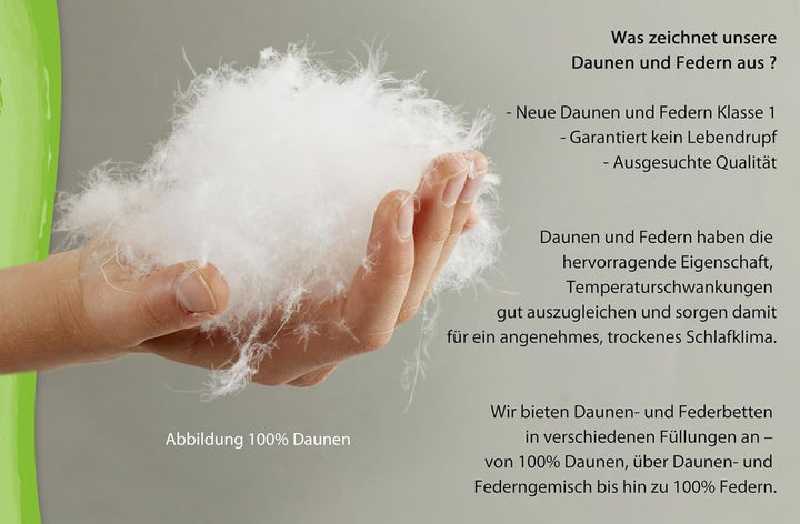franknatur - Ballonbett 100% Neue Gänsedaunen 2000g - Bettdecke 135x200 Winterdecke Daunenbettdecke