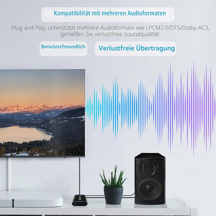 DSD TECH SH-AC01B Optischer Audio-Switcher unterstützt 3 SPDIF IN 1 Out