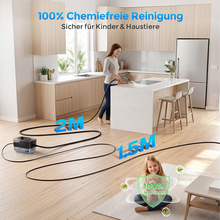 Dampfreiniger Handgerät, Tragbarer Dampfreiniger 1800W, 1.6L Wassertank Kohlefarben, Kohlefarben