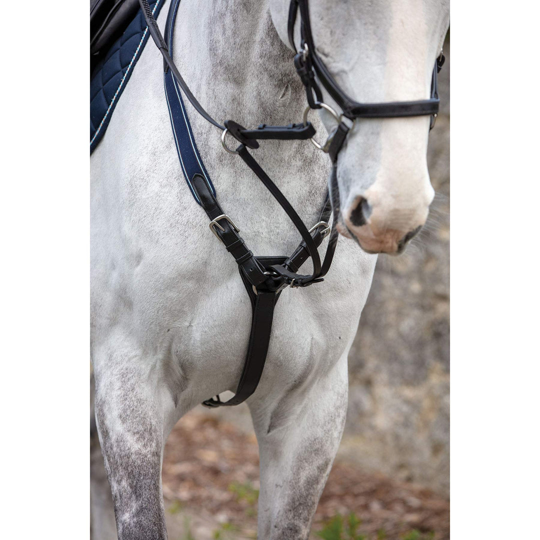 RAMBO Micklem Vorderzeug aus Leder, Schwarz Pony, Pony