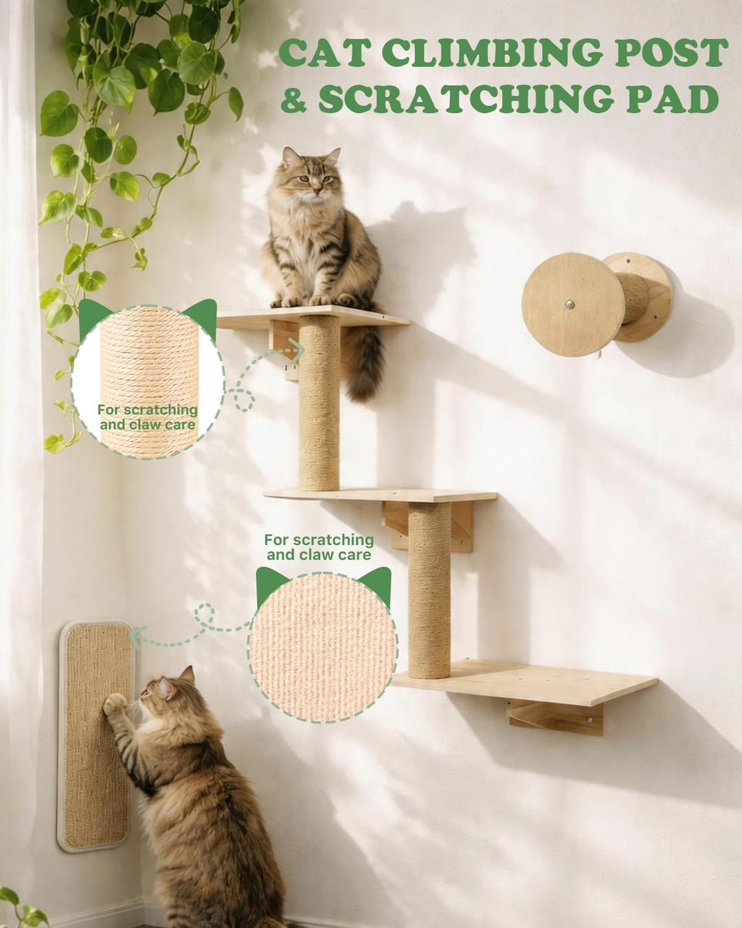 Kletterwand Katzen, 5-teilig Katzen Kletterwand mit Katzenhäusern bis 15 kg 5PCS, 5PCS