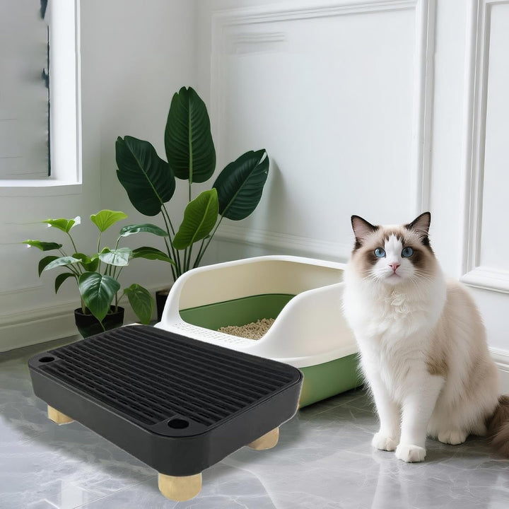 Katzenrampe Für Katzentoilette - Kätzchen Katzenklo Treppe Mit Filterfunktion | Abnehmbare Kätzchen