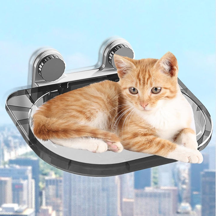 Katzenbarsch | Fensterplatz | Transparenter Barsch | Katzenregal | Platzsparender, am Fenster montie