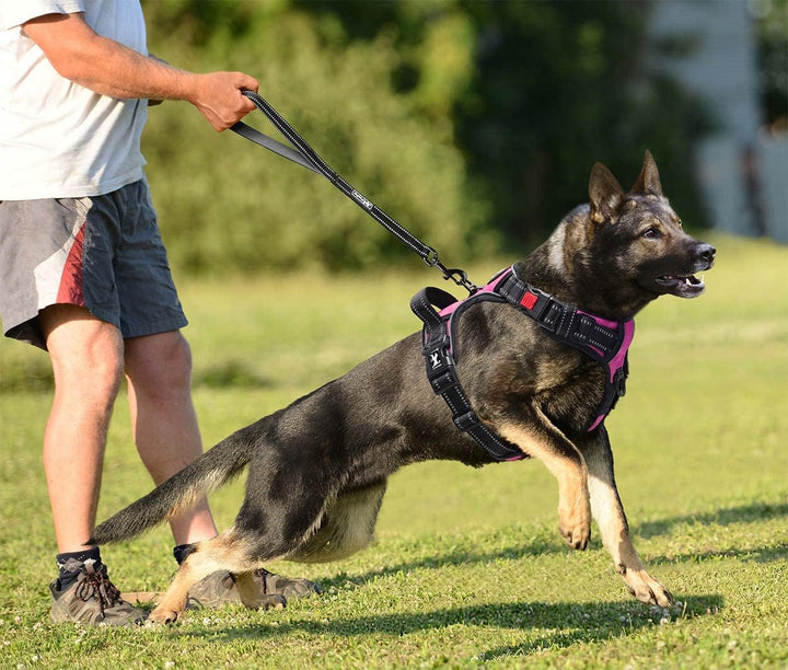 PoyPet Keine Pull Hundegeschirr Front Reflektierende Pet Weste für Hunde mit Einfache Kontrolle Grif