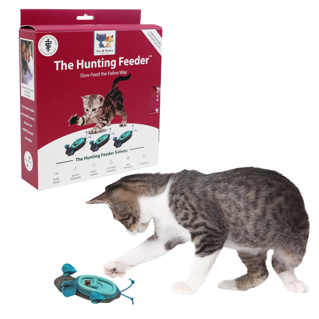 Doc &amp; Phoebe Indoor Hunter Katzen Napf interaktiv einheitsgrösse Unterschiedlich