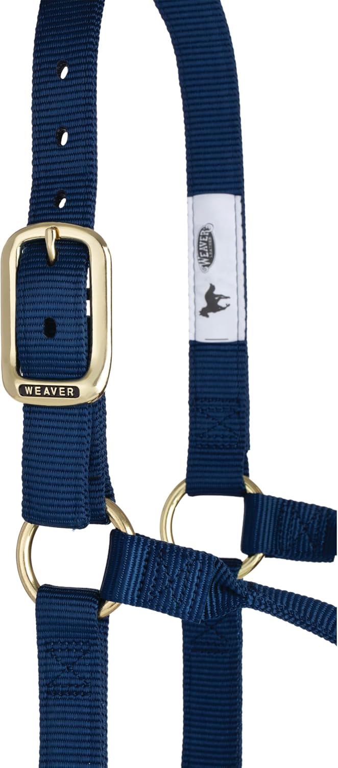 WEAVER Leather, Nicht verstellbares Halfter Marineblau Large Horse, Marineblau Large Horse