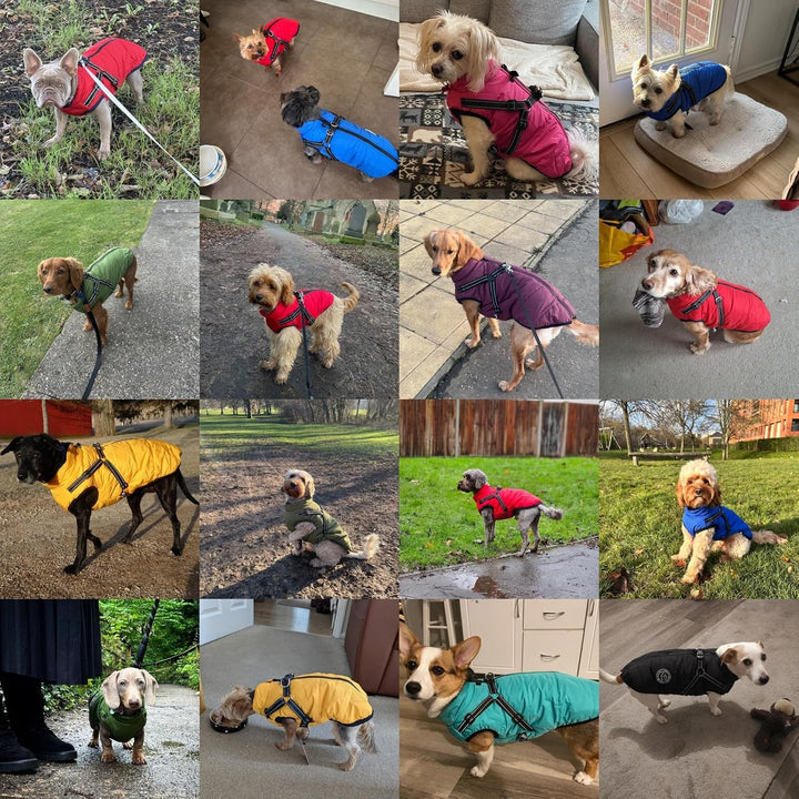 Savlot Hundejacke Winterweste Jacken Hundemantel Hundepullover Haustier Skifahren Kostüm Ärmellose B