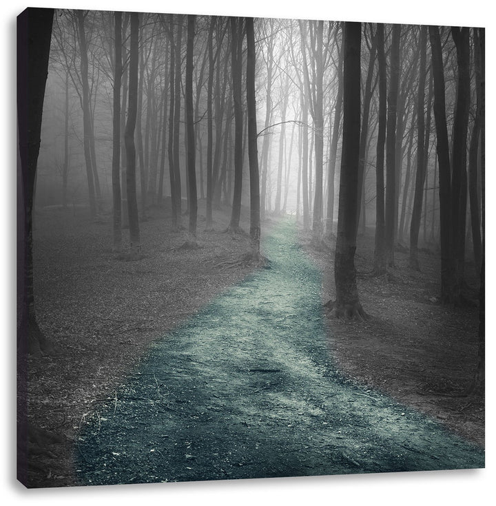 Pixxprint Einsamer Weg im Wald schwarz/weiss, Format: 70x70 auf Leinwand, 70x70