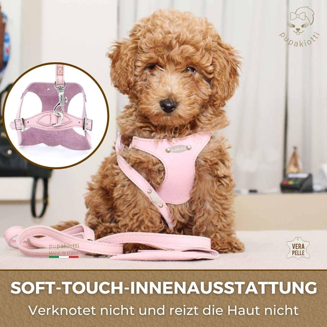 PUPAKIOTTI Brustgeschirr für kleine und mittelgrosse Hunde, Leder-Hundegeschirr, ergonomisch und ver