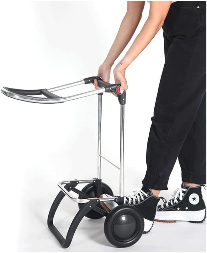 Klappbarer Einkaufstrolley Rolser I-Max MF 2 Räder - Celeste, Celeste