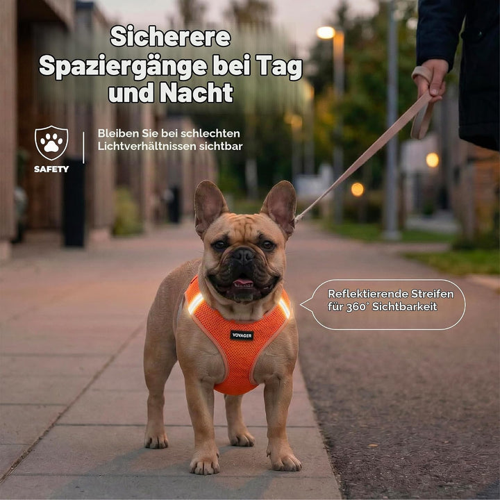 Voyager Step-In Air Hundegeschirr by Best Pet Supplies - All Weather Mesh Step in Vest Harness für k