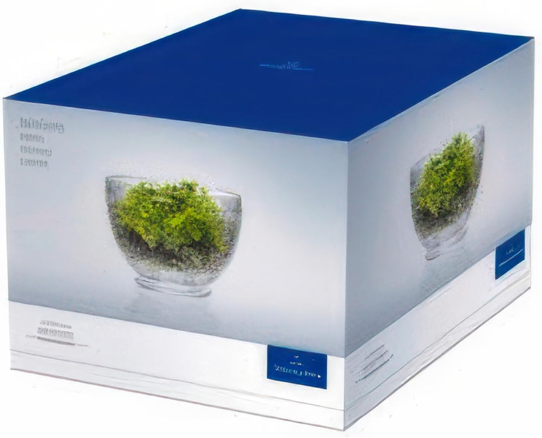 Villeroy &amp; Boch Boston Coloured Schale Smoke 4 Stück Nr. 1173090765 und 4er Set EKM Living Edelstahl