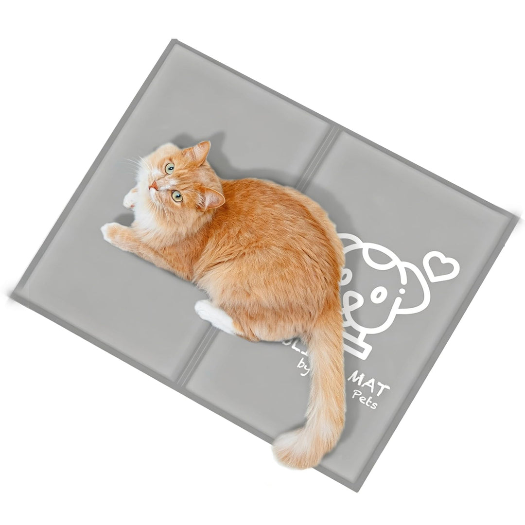 Pawtasy Kühlmatte Katze Hunde Kühldecke Sommer Kühlkissen mit Ungiftiges Gel für Klein Haustiere Hun