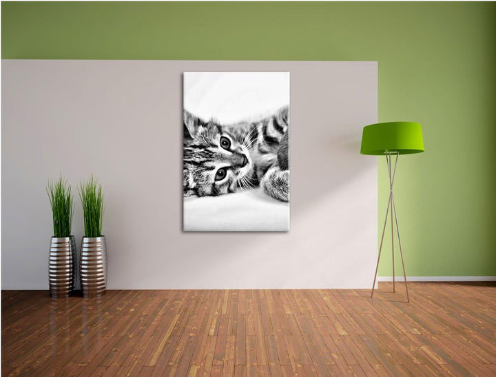 Pixxprint Monocrome, Kätzchen mit Wollknäul, Format: 100x70 auf Leinwand, 100x70