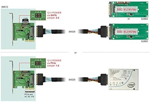 Delock PCIe x4 > U.2 Buchse NVMe