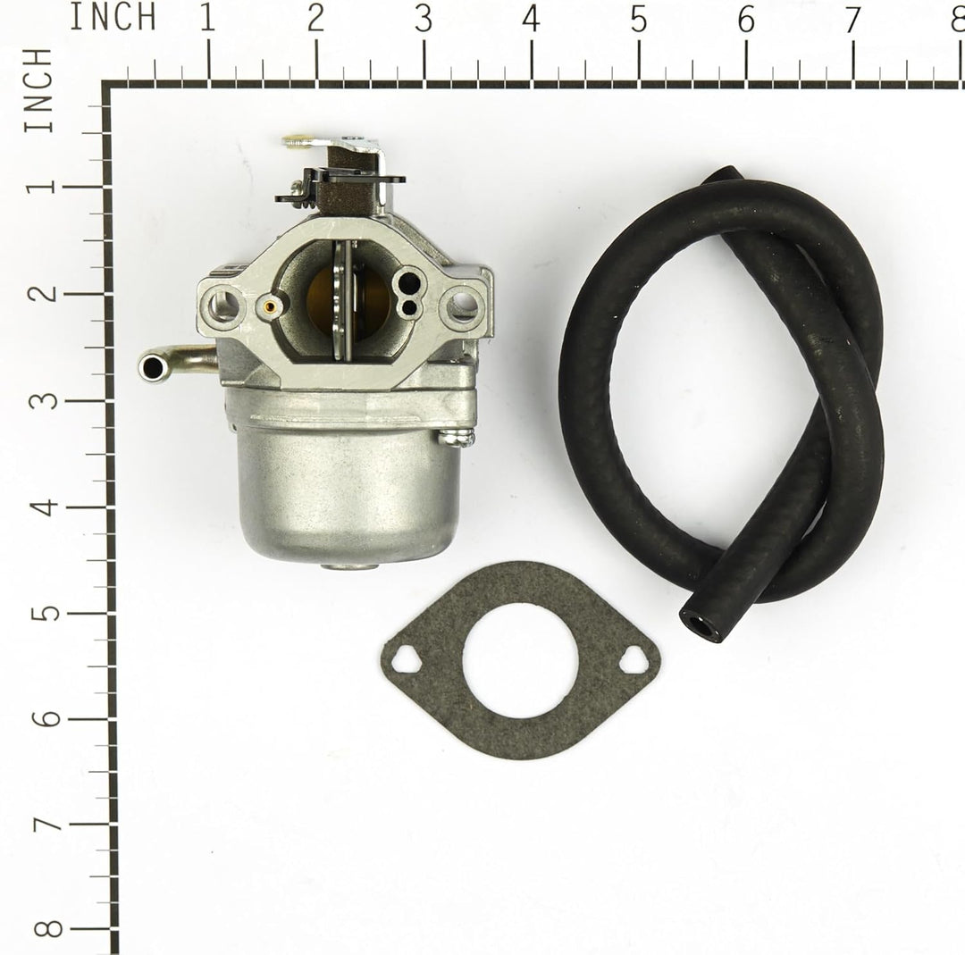 Briggs &amp; Stratton 590399 Vergaser ersetzt 796077