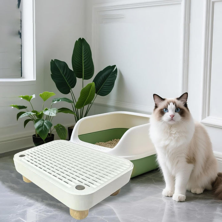 Katzenstreu Box Stufe - Kätzchen Katzenklo Treppe Mit Filterfunktion,Abnehmbare Kätzchen Katzenklo R