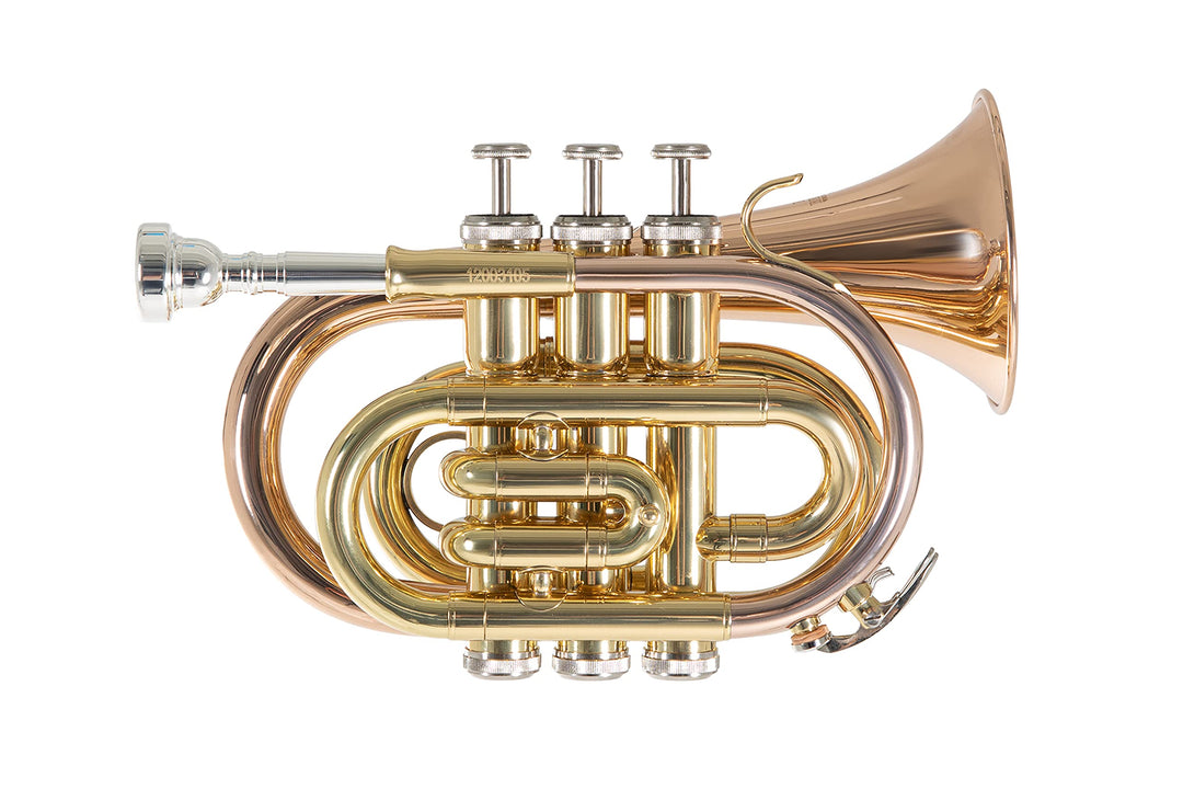 Roy Benson Bb Taschen-Trompete MOD.PT-101G lack. Goldmessing, inkl. Etui, PT-101G