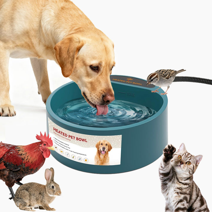 Namsan Beheizter Wassernapf für Hunde, Beheiztes Frostschutz Tränkebecken, Anti-Bite-Schlauchwickel