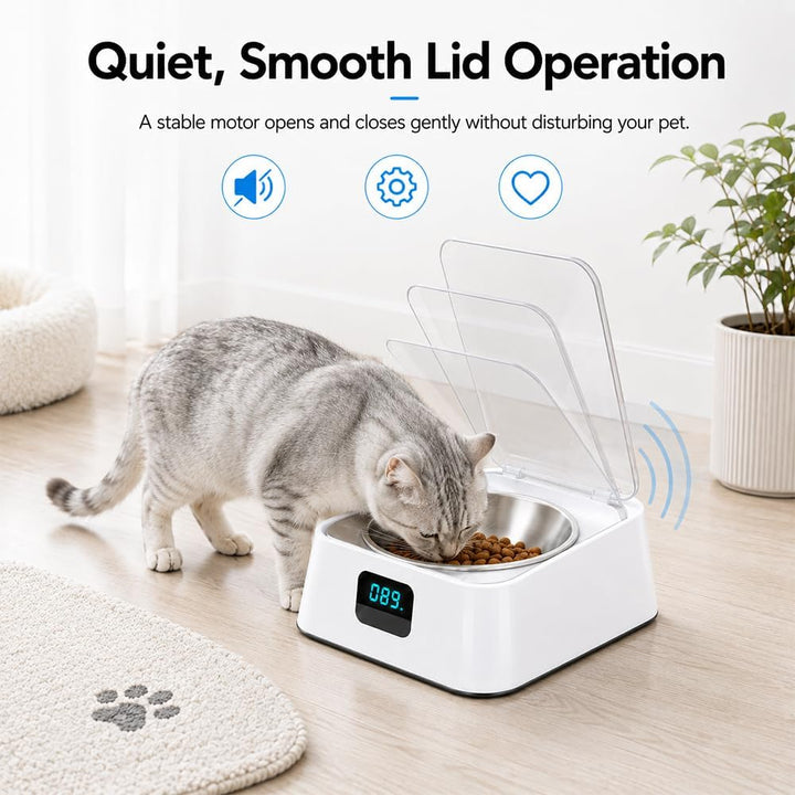 Futterautomat Katze Nassfutter, 350 ml Automatisch Katzenfutter Automat mit Infrarot Sensor Nassfutt